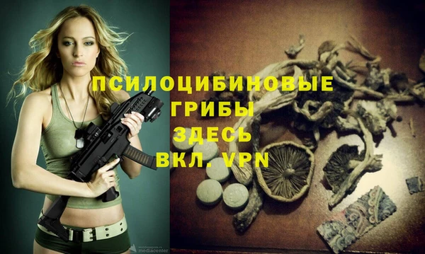 а пвп мука Инта