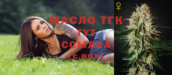 2c-b Краснослободск